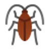 Insectes