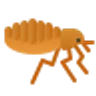 Puces