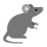 Rats & Souris